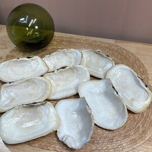 9 Large Clean & Glazed Geoduck Clam Shells Decor or Decoupage